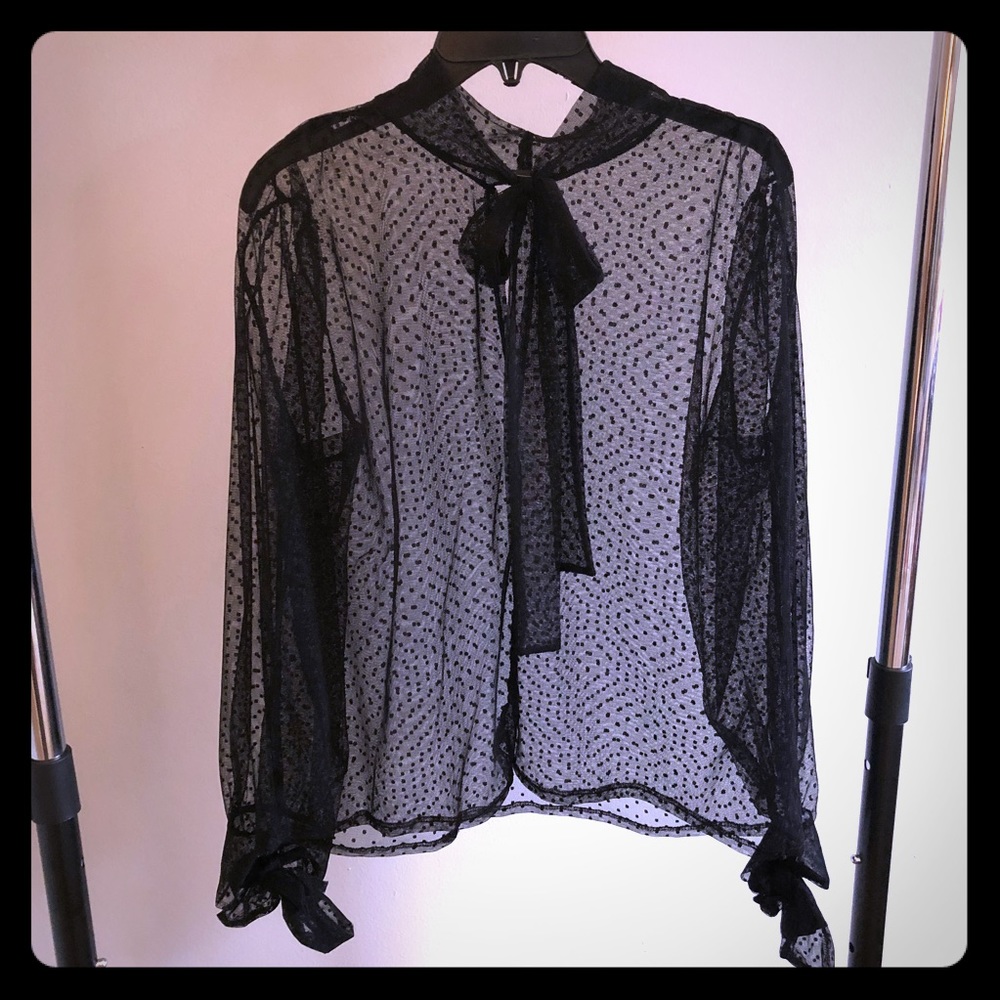 Zara Sheer Polla Dot Blouse w/ Bowtie
